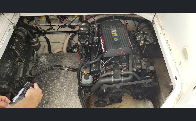 Bayliner 3055 Ciera-kuva-5